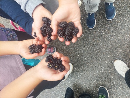 Trije tedni razigranega otroškega smeha – zaključek Ravensko razgibanega poletja (40)